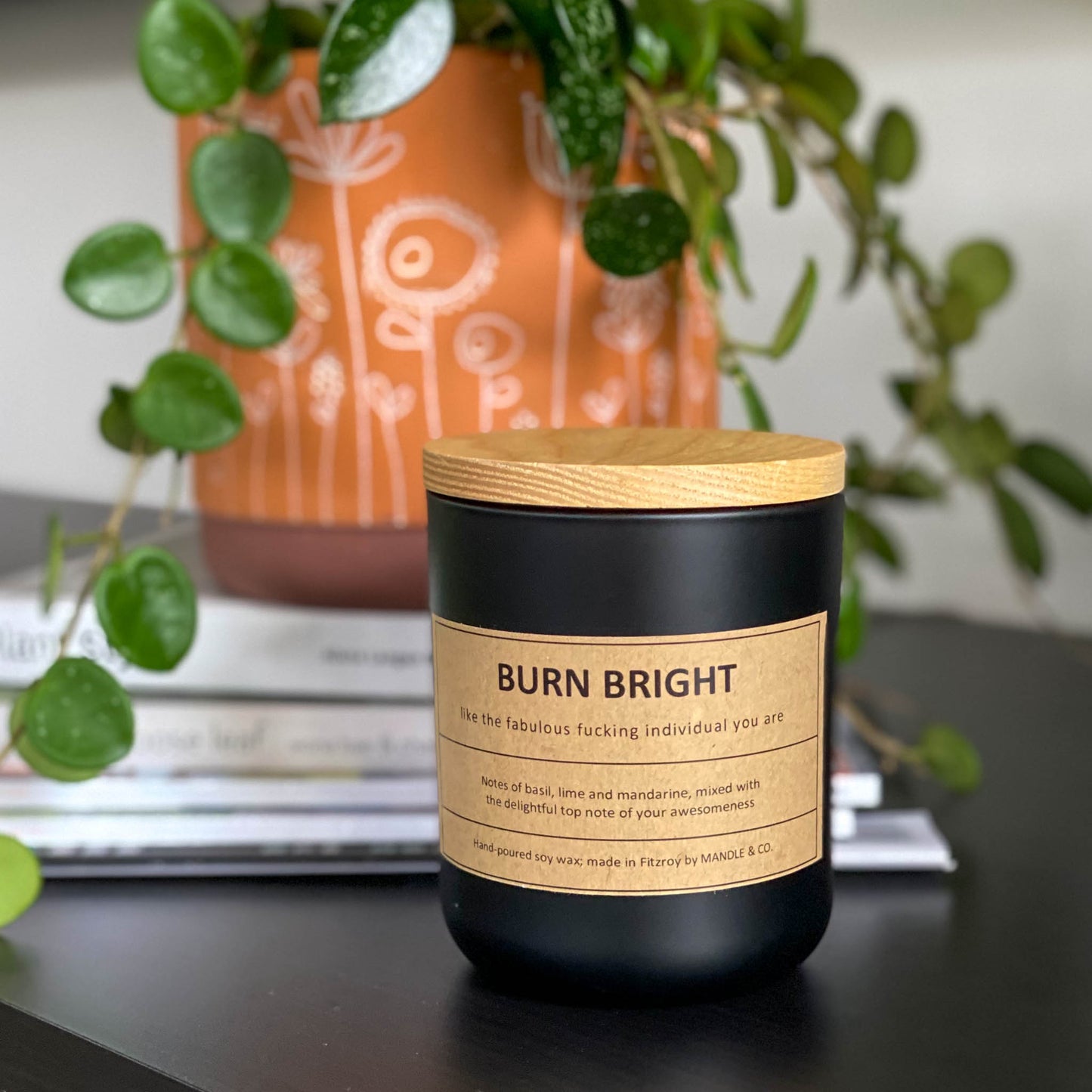 Candle • Burn Bright • like the fabulous f@cking individual you are • 285g